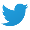 Twitter (X) icon