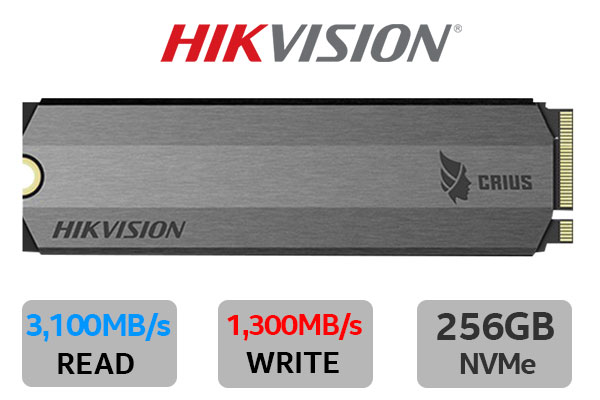 Hikvision E2000 256GB NVMe SSD