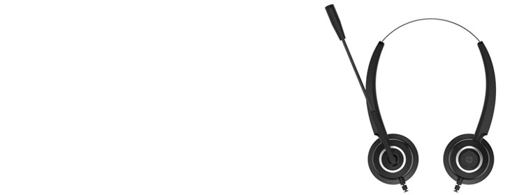 HP DHE-8000 USB Headset - Black