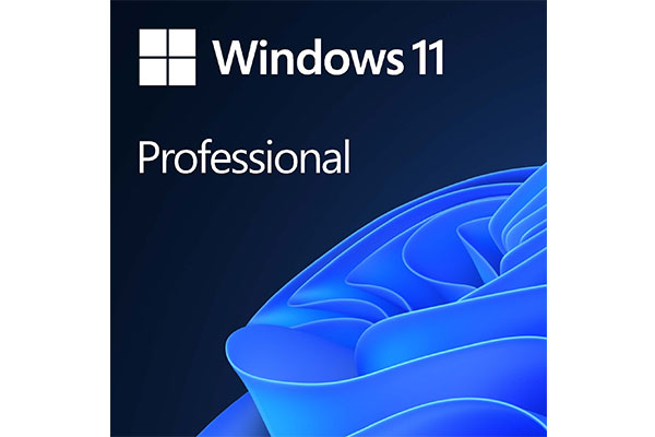 Microsoft Windows 11 Pro (Professional) 64-bit OEM