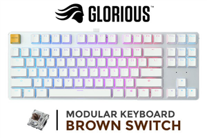 Glorious GMMK Modular Mechanical Keyboard - TKL  White Ice