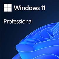 Microsoft Windows 11 Pro 64-bit OEM
